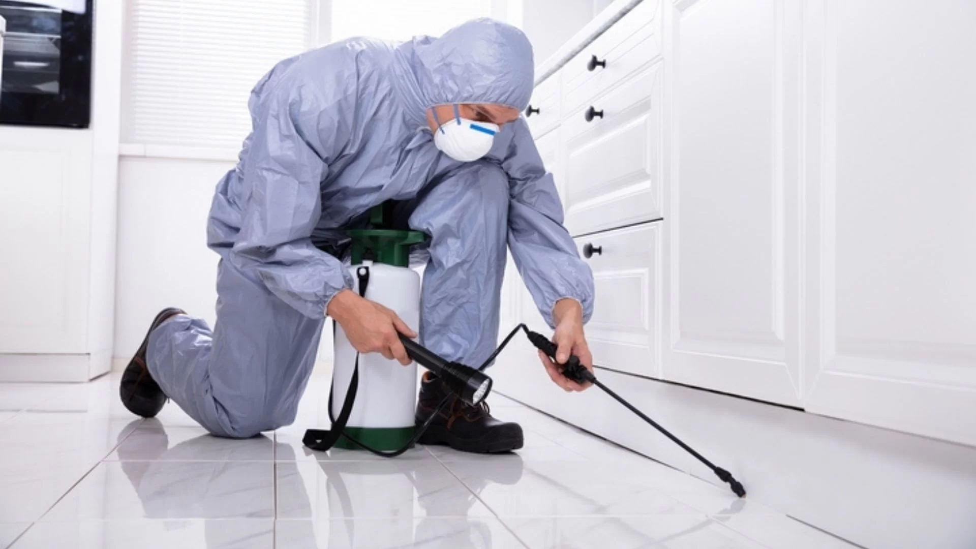 Ant control services in Florence, MS