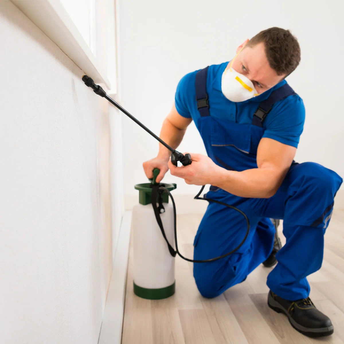 Spider Control Service in Florence, MS