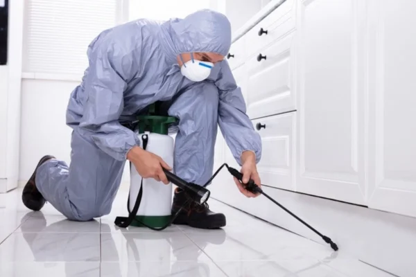 Ant control services in Florence, MS