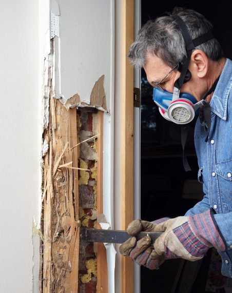 Termite control services in Florence, MS